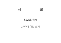 프로레스링 `wwe` 분석-1