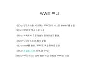 프로레스링 `wwe` 분석-2