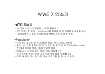 프로레스링 `wwe` 분석-4