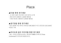 프로레스링 `wwe` 분석-11