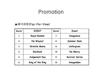프로레스링 `wwe` 분석-12