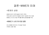 프로레스링 `wwe` 분석-14
