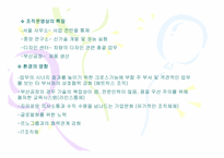 [경영조직론] 국내 자동차3사의 조직구조분석-16