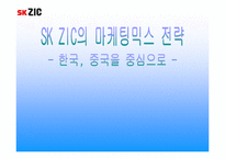 [국제마케팅] sk ZIC의 마케팅믹스전략-1