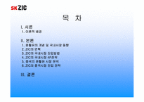 [국제마케팅] sk ZIC의 마케팅믹스전략-2
