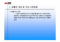 [국제마케팅] sk ZIC의 마케팅믹스전략-9