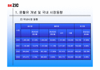 [국제마케팅] sk ZIC의 마케팅믹스전략-10
