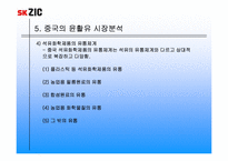 [국제마케팅] sk ZIC의 마케팅믹스전략-19