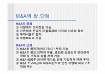 [인수합병] M&A 보고서-12