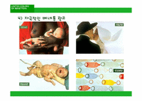 [아웃소싱] 베네통의 아웃소싱-11