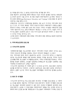 [청소년비행예방프로그램] 청소년 비행 예방을 위한 비행 원인별 프로그램-9