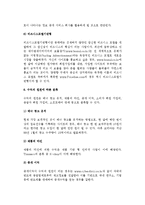 [인터넷 비즈니스 모델] 비즈니스모델의 개념과 필요성, 인터넷비즈니스모델의 분류(종류)와 성공전략요인-15