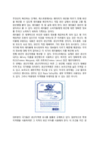 [와인] 와인의 정의와 역사, 와인의 특성과 제조과정, 와인의 분류(종류), 와인취급방법과 서비스-10