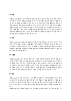 계획의 종류와 성격(계획의 종류, 전략의 본질, 방침의 성격과 실행, 규정과 절차의 성격)-4