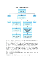 계획의 종류와 성격(계획의 종류, 전략의 본질, 방침의 성격과 실행, 규정과 절차의 성격)-6