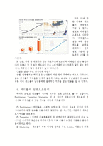 REDBULL 레드불 마케팅 4P,SWOT분석및 레드불 스포츠마케팅 성공사례분석 레포트-5