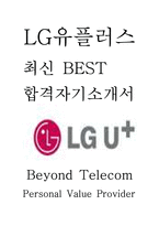 LG유플러스 엘지유플러스 FM 영업전문인재 최신 BEST 합격 자기소개서!!!!-1