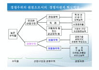 경쟁우위와 경쟁전략-12