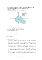 처음처럼 제품분석과 처음처엄 마케팅 SWOT,STP,4P전략분석및 처음처럼 새로운 마케팅전략제안과 나의견해 정리레포트-13