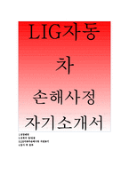 LIG자동차손해사정자기소개서:LIG자동차손해사정자소서,지원동기,입사후포부,LIG자동차손해사정채용 자소서항목,LIG자동차손해사정 자동차보험-1