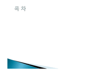 국제 팩토링과 포페이팅 방식-2