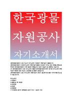 한국광물자원공사자기소개서:한국광물자원공사자소서 한국광물자원공사자소서역량기술서 한국광물자원공사지원동기자기소개서 한국광물자원공사역량기술서-1