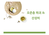 오존층 파괴와 산성비 문제-1