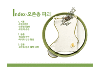 오존층 파괴와 산성비 문제-2