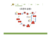 오존층 파괴와 산성비 문제-5