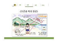 오존층 파괴와 산성비 문제-7