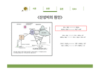 오존층 파괴와 산성비 문제-12