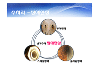 냉각탑과 Thermal Equipment-7