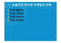 인터넷 마케팅의 성공사례와 실패사례-5
