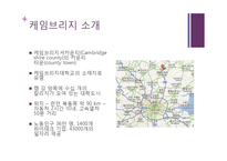 캠브리지 혁신 클러스터의 현황과 과제-시장주도적 대기업 육성-3