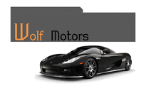 Wolf Motors 경영 사례 분석-1