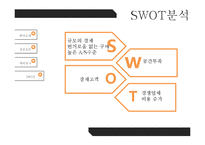 Wolf Motors 경영 사례 분석-9
