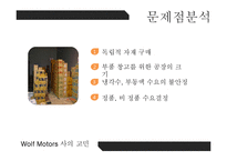 Wolf Motors 경영 사례 분석-11