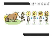 Wolf Motors 경영 사례 분석-14