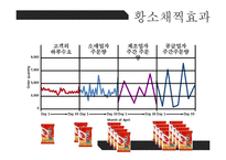 Wolf Motors 경영 사례 분석-15