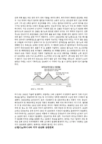 엘니뇨와 라니냐 현상 연구-7