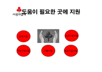 사회복지공동모금회 기관조사-9