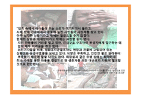 아이티 과거 와 현재-8