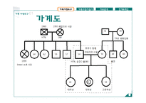 가족 간호과정 사례 연구-4