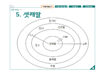 가족 간호과정 사례 연구-14