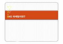 SNS마케팅 정의분석과 기업과 제품들의 SNS마케팅 성공,실패사례분석및 SNS마케팅 미래방향연구 레포트-2
