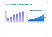 SNS마케팅 정의분석과 기업과 제품들의 SNS마케팅 성공,실패사례분석및 SNS마케팅 미래방향연구 레포트-5