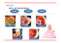 태내기, 영아기의 발달-6