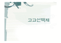 신자유주의와 고교선택제-9