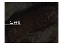 해삼 양식과 현황-3