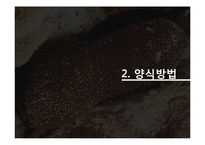해삼 양식과 현황-6